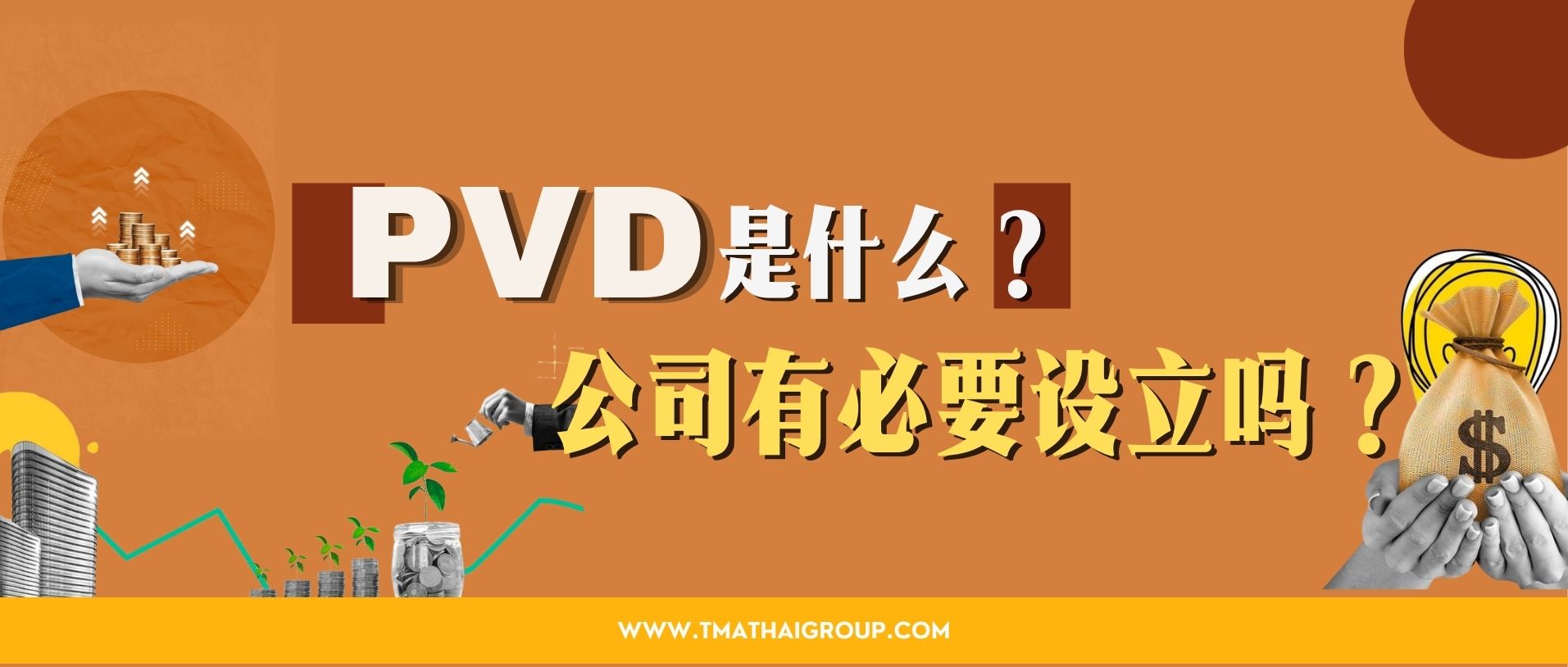 PVD是什么?公司有必要设立吗?