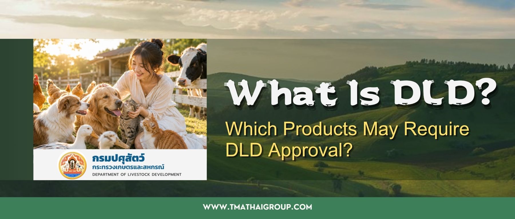 What Is DLD?